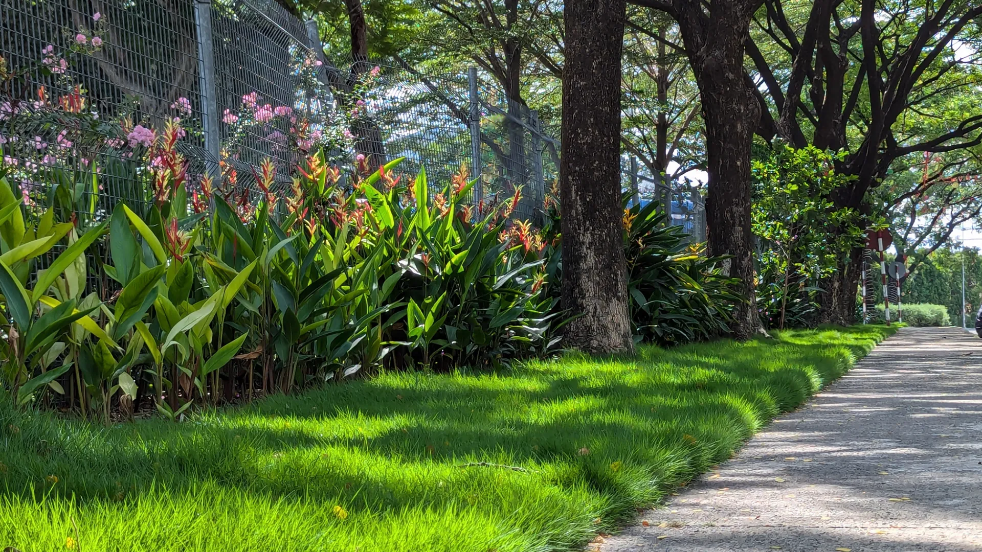 Căn hộ 1PN+1 với không gian đa năng, thuận tiện ngay Setia Edenia. Mua bán căn hộ tại Setia Edenia, Quốc lô 13, Lái Thiêu, Hồ Chí Minh được đăng bởi VPI Official.Hình 3