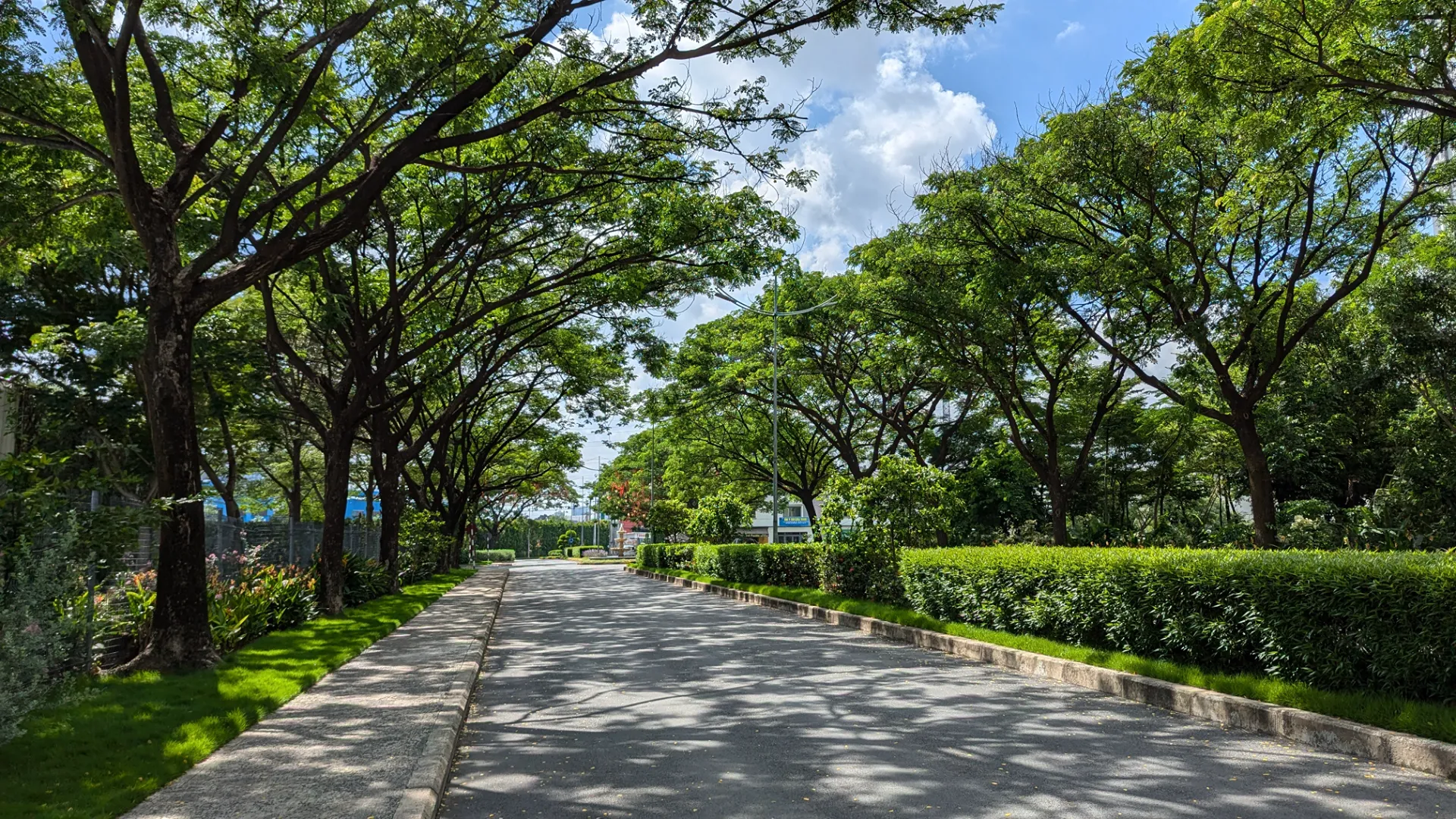 Căn hộ 1PN +1 với góc cộng đa di năng, thêm nhiều không gian tiện ích. Mua bán căn hộ tại Setia Edenia, Quốc lộ 13, Lái Thiêu, Hồ Chí Minh được đăng bởi VPI Official.Hình 5